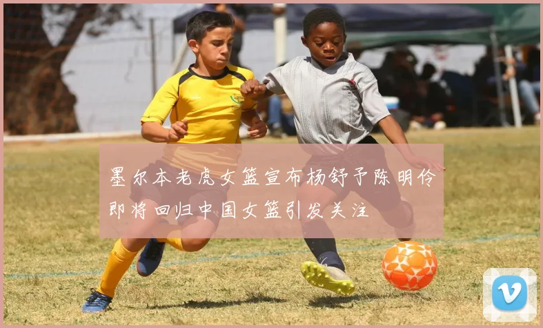 墨尔本老虎女篮宣布杨舒予陈明伶即将回归中国女篮引发关注